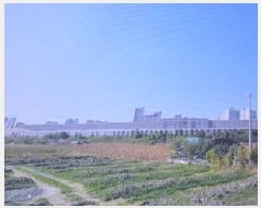  2025Ÿ��663 ��� ���� ���̸� ��縮 1290      ����(��)���