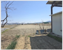  2025Ÿ��663 ��� ���� ���̸� ��縮 1290      ����(��)���