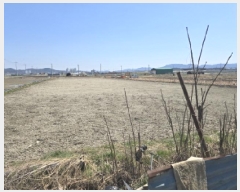  2025Ÿ��663 ��� ���� ���̸� ��縮 1290      ����(��)���