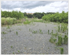  2025Ÿ��810 ��� ���� ���̸� ��õ�� 467-2      ������