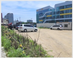  2025Ÿ��907 �뱸 ���� ���ϵ� 1350       ����(����)���