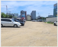  2025Ÿ��907 �뱸 ���� ���ϵ� 1350       ����(����)���