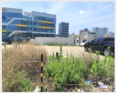  2025Ÿ��907 �뱸 ���� ���ϵ� 1350       ����(����)���