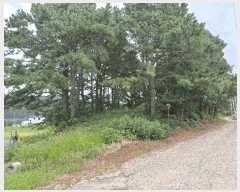  2025Ÿ��972 ��� ��õ�� ��ȣ�� ��ȣ�� 29      ����(�Ӿ�)���