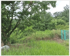  2025Ÿ��972 ��� ��õ�� ��ȣ�� ��ȣ�� 29      ����(�Ӿ�)���