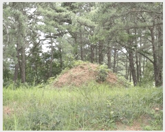  2025Ÿ��972 ��� ��õ�� ��ȣ�� ��ȣ�� 29      ����(�Ӿ�)���