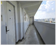  2025Ÿ��1037  ����Ʈ���