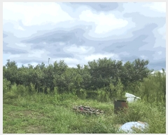  2025Ÿ��1096  ���������