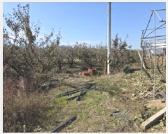  2025Ÿ��1096  ���������