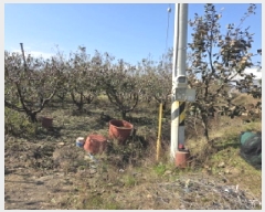  2025Ÿ��1096  ���������