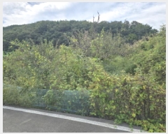  2025Ÿ��1108 ��� ��õ�� ���굿 816-1       ����(��)���