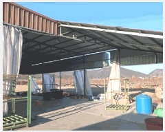  2025Ÿ��5407 ��� ��õ�� �Ӱ��� ��õ�� 743-5      ����,â�����