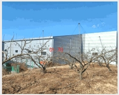  2025Ÿ5940    渮 851      