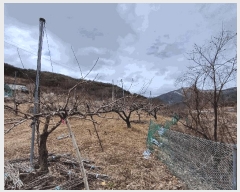  2025Ÿ��7319  ���������