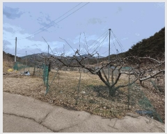  2025Ÿ��7319  ���������