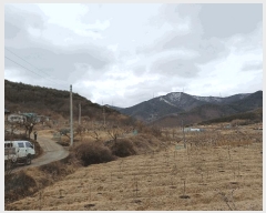  2025Ÿ��7319  ���������