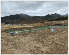  2025Ÿ��7319  ���������