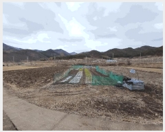  2025Ÿ��7319  ���������