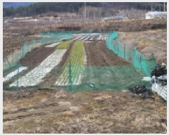  2025Ÿ��7319  ���������