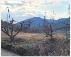  2025Ÿ��7319  ���������