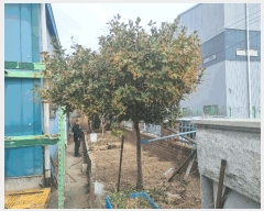  2025Ÿ��7415 ��� ��õ�� ä�ŵ� 152-12       ������