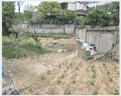  2025Ÿ��7832 ��� ĥ� �ְ��� �ְ��� 324-6      ���ð��