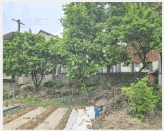  2025Ÿ��7832 ��� ĥ� �ְ��� �ְ��� 324-6      ���ð��