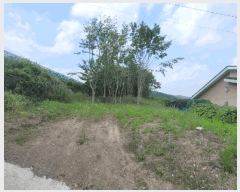  2025Ÿ��7898  ���������