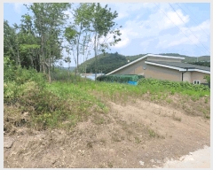  2025Ÿ��7898  ���������