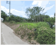  2025Ÿ��7898  ���������