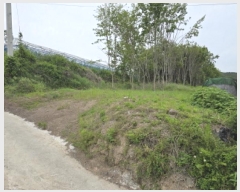  2025Ÿ��7898  ���������