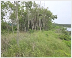  2025Ÿ��7898  ���������