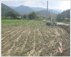  2025Ÿ��8072  ����