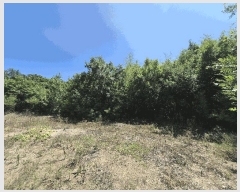  2025Ÿ��8350 ��� ��õ�� �Ͼȸ� ��õ�� 93-2      ����(��1)���