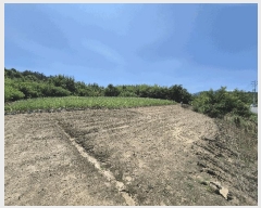  2025Ÿ��8350 ��� ��õ�� �Ͼȸ� ��õ�� 93-2      ����(��1)���