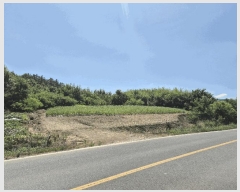  2025Ÿ��8350 ��� ��õ�� �Ͼȸ� ��õ�� 93-2      ����(��1)���