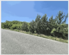  2025Ÿ��8350 ��� ��õ�� �Ͼȸ� ��õ�� 93-2      ����(��1)���