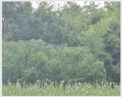  2025Ÿ��8350 ��� ��õ�� �Ͼȸ� ��õ�� 93-2      ����(��1)���