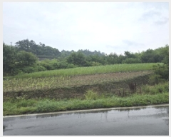  2025Ÿ��8350 ��� ��õ�� �Ͼȸ� ��õ�� 93-2      ����(��1)���