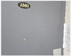  2025Ÿ��8491  ����Ʈ���