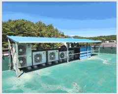  2025Ÿ��8526 ��� ��õ�� ���̵� 1240-8       ��ü����