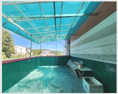  2025Ÿ��8526 ��� ��õ�� ���̵� 1240-8       ��ü����