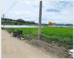  2025Ÿ��8562 ��� ĥ� �ְ��� �ư 547-1      ����(��)���