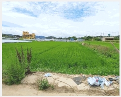  2025Ÿ��8562 ��� ĥ� �ְ��� �ư 547-1      ����(��)���