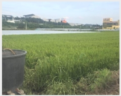  2025Ÿ��8562 ��� ĥ� �ְ��� �ư 547-1      ����(��)���