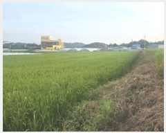  2025Ÿ��8562 ��� ĥ� �ְ��� �ư 547-1      ����(��)���