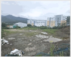  2025Ÿ��8610  �Ӿ߰��