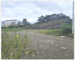  2025Ÿ��8610  �Ӿ߰��