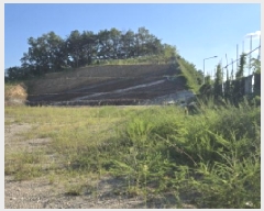  2025Ÿ��8610  �Ӿ߰��