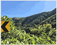  2025Ÿ��8682  �Ӿ߰��